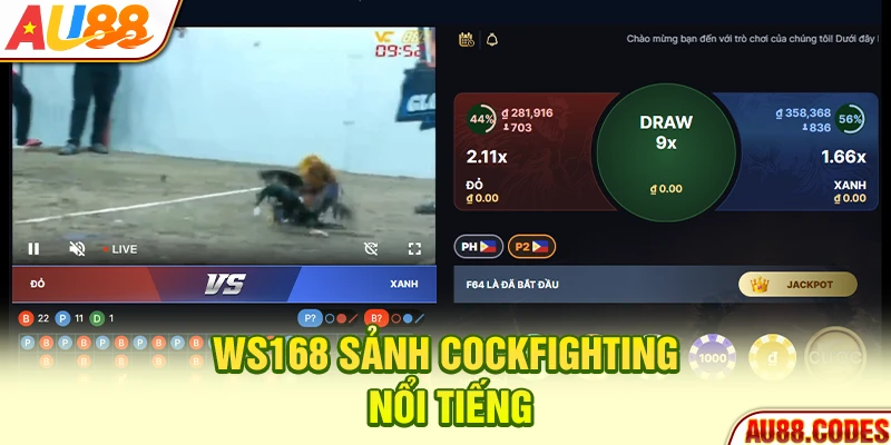 WS168 sảnh cockfighting nổi tiếng